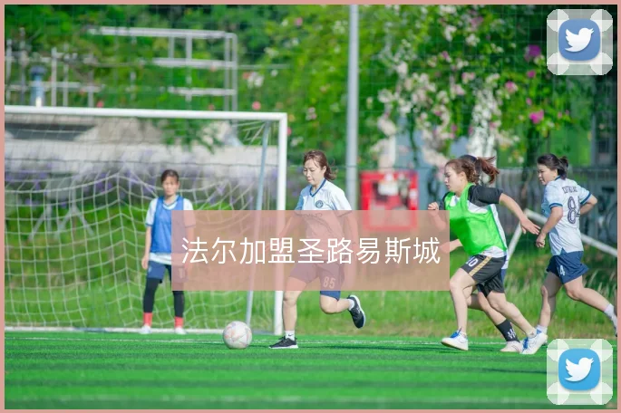 法尔加盟圣路易斯城