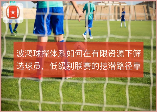 波鸿球探体系如何在有限资源下筛选球员，低级别联赛的挖潜路径靠什么撑住