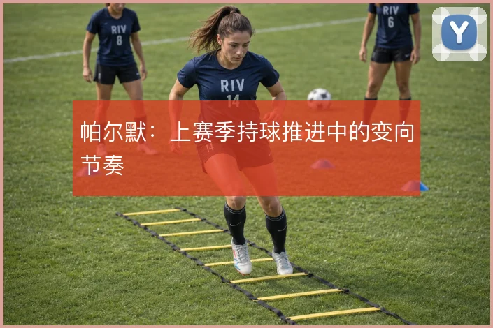 帕尔默：上赛季持球推进中的变向节奏