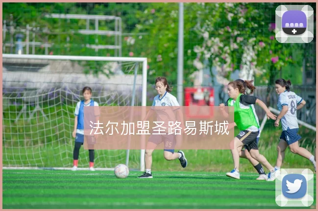 法尔加盟圣路易斯城