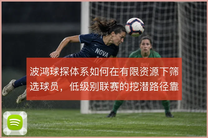 波鸿球探体系如何在有限资源下筛选球员，低级别联赛的挖潜路径靠什么撑住